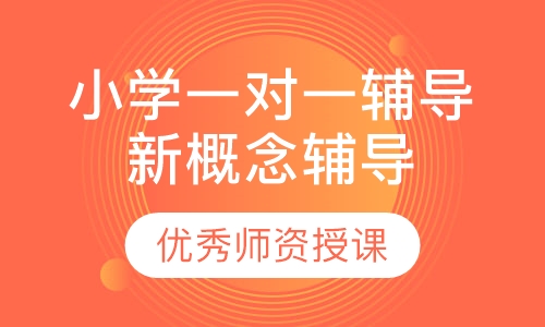 小学一对一辅导新概念辅导