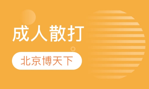 成人散打