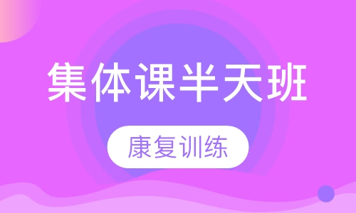 集体课半天班