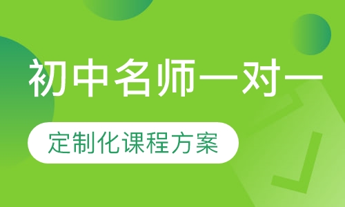 初中全科名师一对一