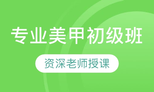 专业美甲初级班
