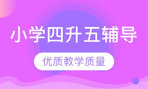 小学四升五辅导