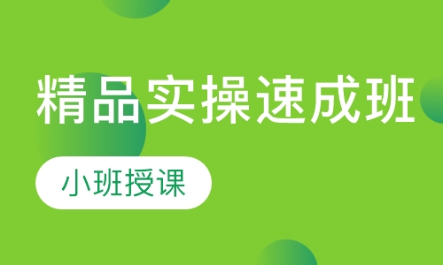 双师课+录播课+直播课精品实操速成班