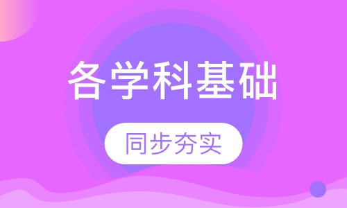 各学科同步夯实基础班