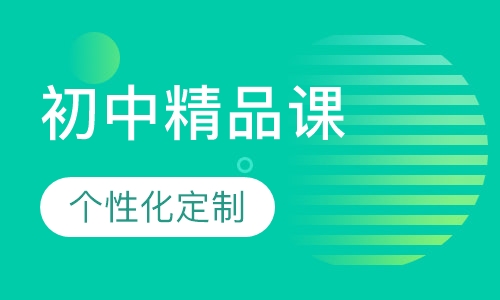 初中精品私教课（2-4人）