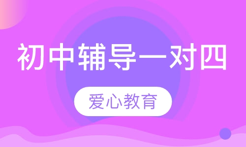 初中辅导一对四