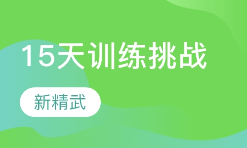 15天训练挑战计划阶段
