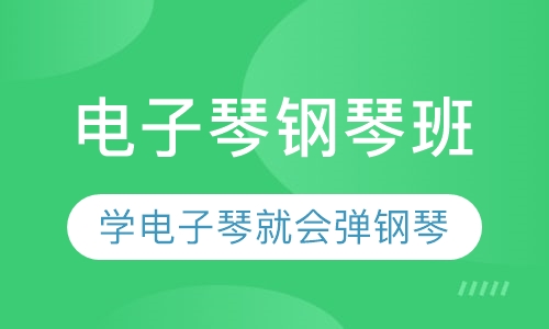 学电子琴就会弹钢琴，还可视唱练耳哦！