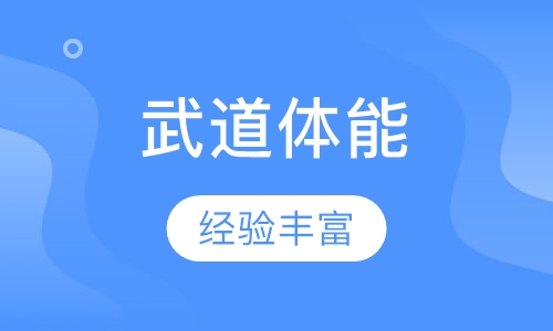 武道体能训练