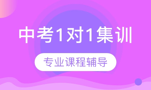 中考1对1集训课程