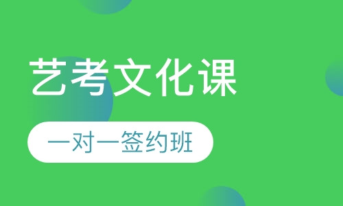 艺考文化课一对一