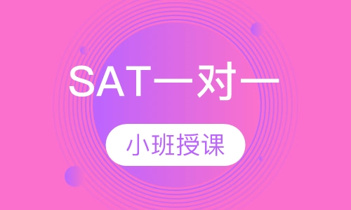 SAT一对一