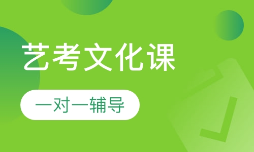 艺考文化课一对一