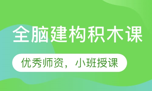 全脑建构积木课