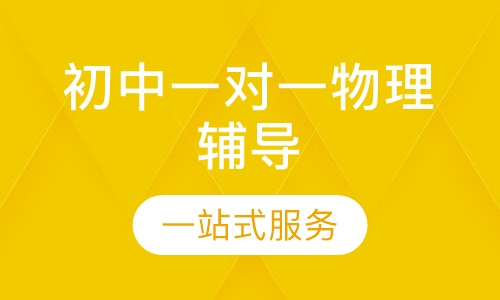 初中一对一物理辅导