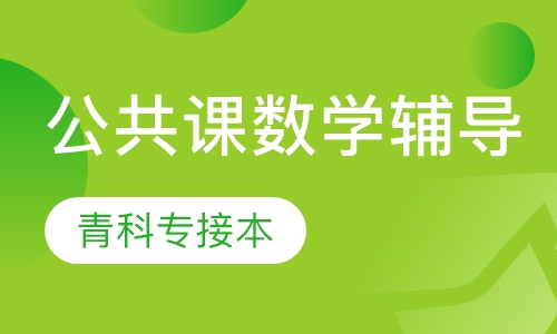 公共课数学辅导