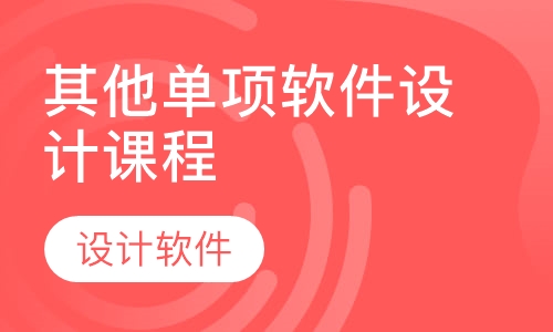 其他单项软件设计课程