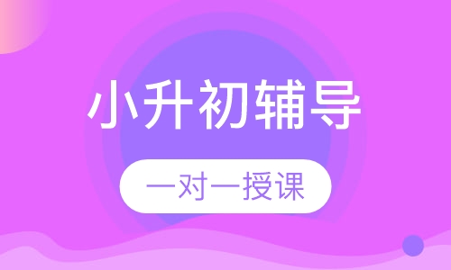 小升初一对一辅导