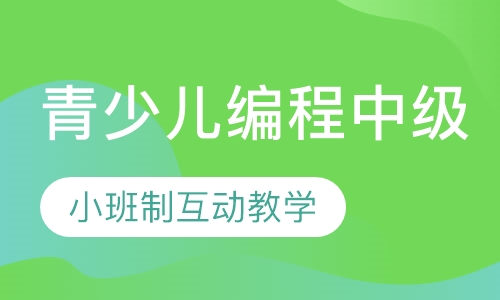 天才密码青少儿编程中级