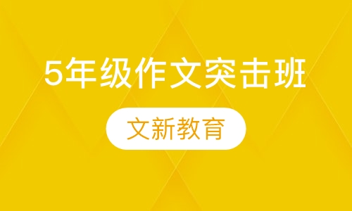 5年级阅读作文突击班