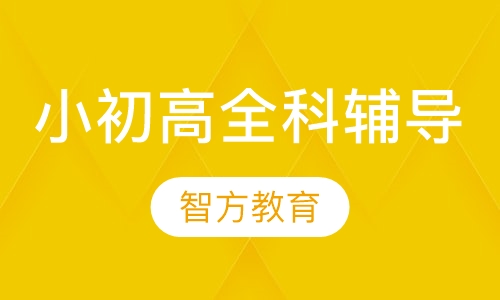 小初高全科辅导全托