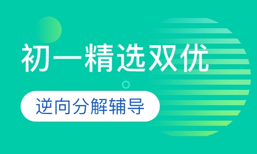 初一精选双优课程
