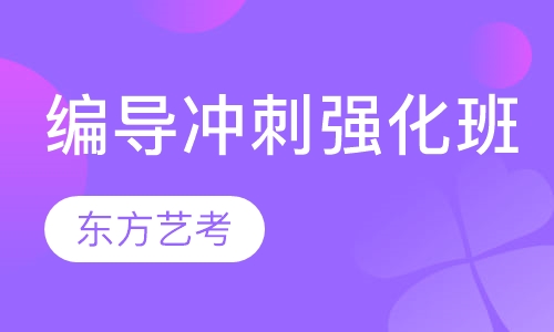 编导冲刺强化班