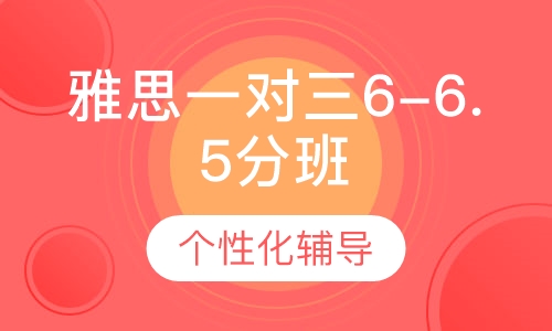 雅思一对三6-6.5分班
