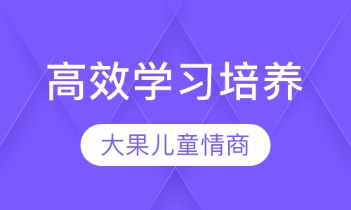 高效学习培养