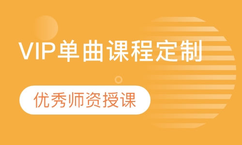 VIP单曲课程定制
