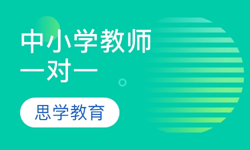 中小学教师一对一辅导