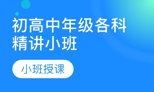 初高中年级各科精讲小班