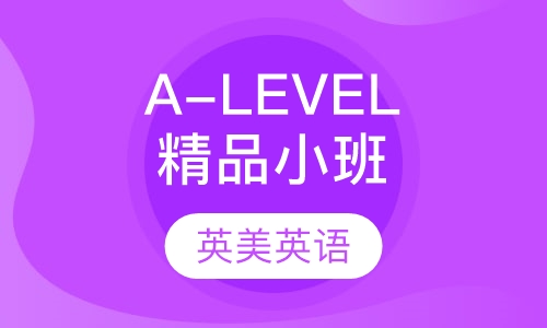 A-LEVEL精品小班