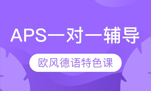 直播课APS一对一辅导