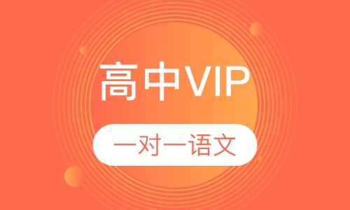 高中VIP一对一语文