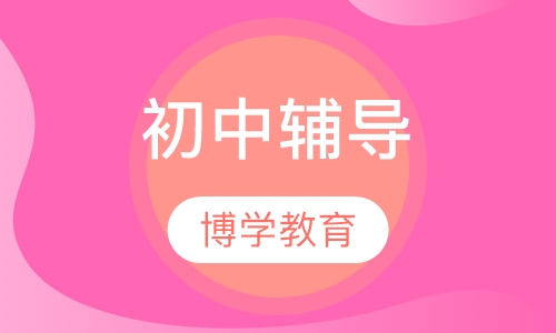 在校教师初中数学一对一辅导