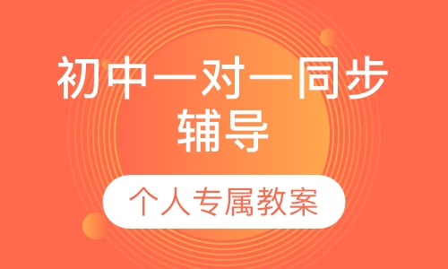 初中一对一同步辅导