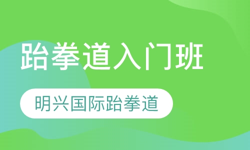 跆拳道入门班