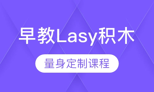 早教Lasy积木