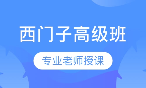 西门子高级班