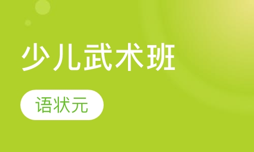 少儿武术班