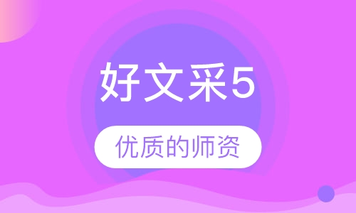 好文采5
