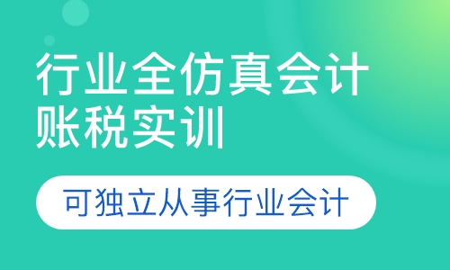 行业全仿真会计账税实训