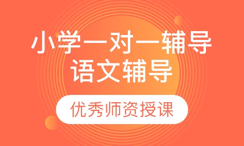 小学一对一辅导语文辅导