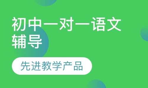 初中一对一语文辅导