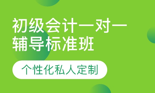 直播课初级会计一对一辅导标准班