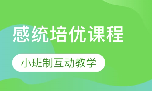 感觉动作统合培优课程