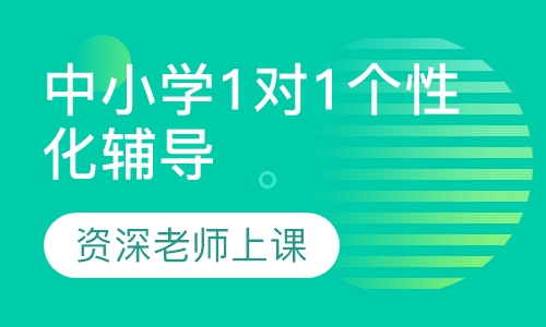 中小学1对1个性化辅导