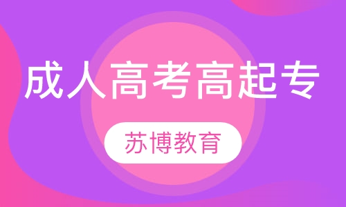 成人高考高起专模考班