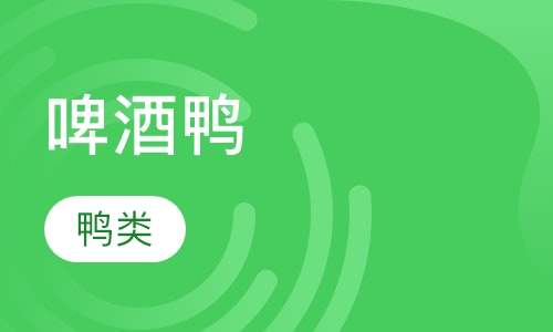 啤酒鸭